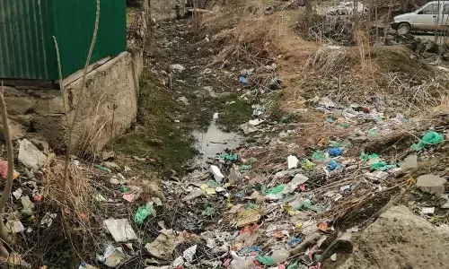 मध्य कश्मीर के बडगाम में भारी प्रदूषण के कारण महत्वपूर्ण जलधारा अवरुद्ध