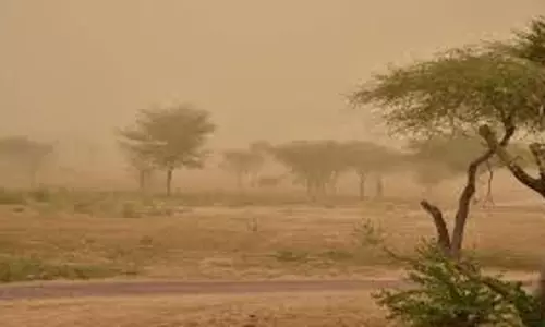 Punjab weather: धूल-भरी आंधी के साथ बारिश