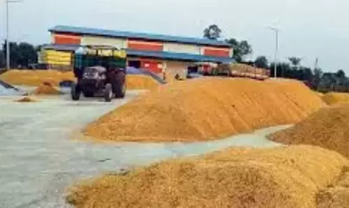 Telangana: धान खरीद के लिए महिला स्वयं सहायता समूहों को शामिल किया जाएगा