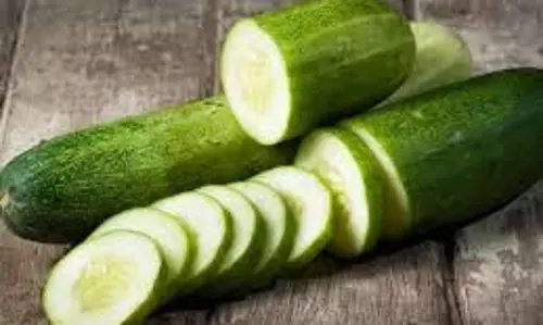 Health: जानिए गर्मियों में यूरिक एसिड कम करने के लिए कौन सी सब्जियां खानी चाहिए Health: जानिए गर्मियों में यूरिक एसिड कम करने के लिए कौन सी सब्जियां खानी चाहिए