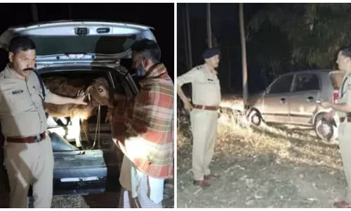 Haridwar: पुलिस की हुई गौ-तस्करों से मुठभेड़, एक आरोपी घायल