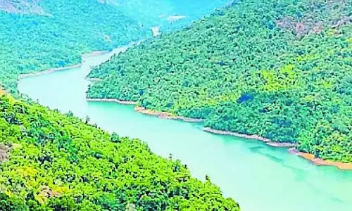 शरावती DPR को सार्वजनिक करने से इनकार