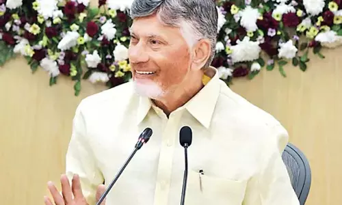 CM Chandrababu : सभी 175 निर्वाचन क्षेत्रों में रोजगार मेले लगेंगे