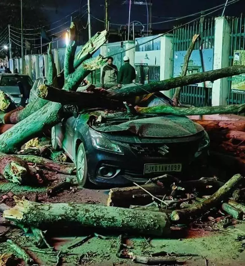 Kashmir के कई इलाकों में तेज हवाओं ने कहर बरपाया Kashmir के कई इलाकों में तेज हवाओं ने कहर बरपाया