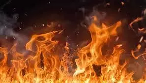 Punjab: झुग्गियों में लगी भीषण आग, इलाके में अफरा-तफरी Punjab: झुग्गियों में लगी भीषण आग, इलाके में अफरा-तफरी