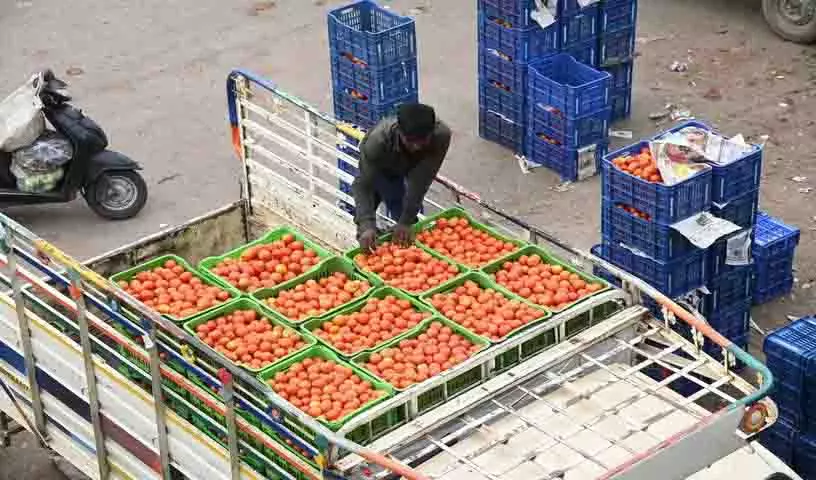 Hyderabad: टमाटर की अधिकता से किसान बाजार की समस्याओं से जूझ रहे Hyderabad: टमाटर की अधिकता से किसान बाजार की समस्याओं से जूझ रहे