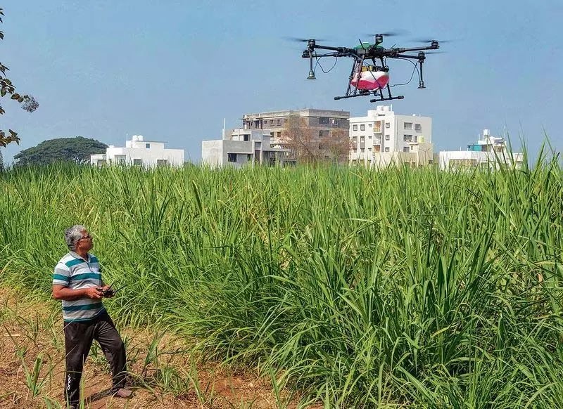 Ludhiana: विशेषज्ञों ने वसंतकालीन मक्का फसल के लिए एकीकृत कीट प्रबंधन का सुझाव दिया Ludhiana: विशेषज्ञों ने वसंतकालीन मक्का फसल के लिए एकीकृत कीट प्रबंधन का सुझाव दिया