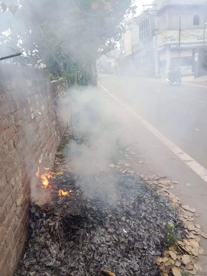 Ludhiana: प्रतिबंध के बावजूद शहर में सूखे पत्ते जलाए जाने का सिलसिला जारी Ludhiana: प्रतिबंध के बावजूद शहर में सूखे पत्ते जलाए जाने का सिलसिला जारी