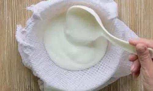 Skin Care: जानिए चेहरे पर दही और बेसन का पेस्ट लगाने के फायदे Skin Care: जानिए चेहरे पर दही और बेसन का पेस्ट लगाने के फायदे