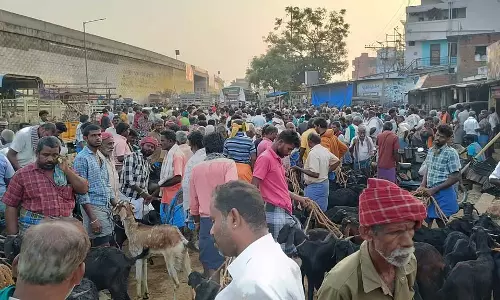 अय्यालुर बाजार में 2 करोड़ रुपये में बिके बकरे अय्यालुर बाजार में 2 करोड़ रुपये में बिके बकरे