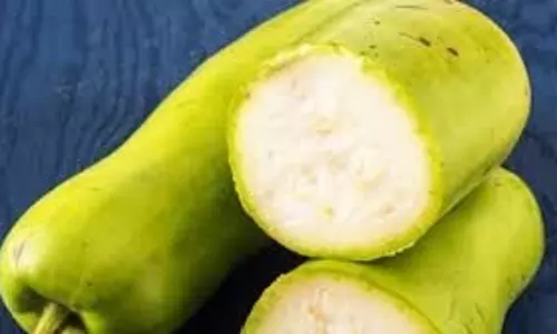 Lauki Recipe: लौकी से बनाएं  स्वादिष्ट और सेहतमंद सब्ज़ियां