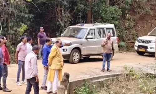 घुमुसर के जंगलों पर नजर रखेंगे एआई कैमरे