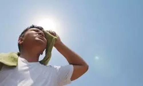Tamil Nadu में गर्मी: वेल्लोर में 104°F, आठ शहरों में 100°F के पार तापमान