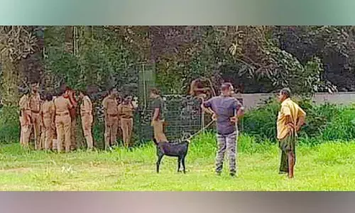 Kerala: चालाकुडी में जाल बिछाकर बाघ का इंतजार किया जा रहा