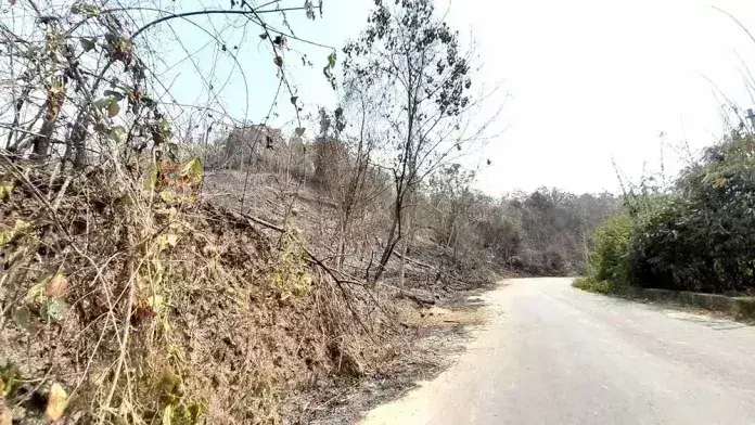 Nagaland : सानिस गांव क्षेत्र में जंगली आग पर काबू पाया गया Nagaland : सानिस गांव क्षेत्र में जंगली आग पर काबू पाया गया