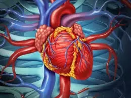 Health: जानिए कितने प्रतिशत ब्लॉकेज पर पड़ती है हार्ट सर्जरी की जरूरत Health: जानिए कितने प्रतिशत ब्लॉकेज पर पड़ती है हार्ट सर्जरी की जरूरत
