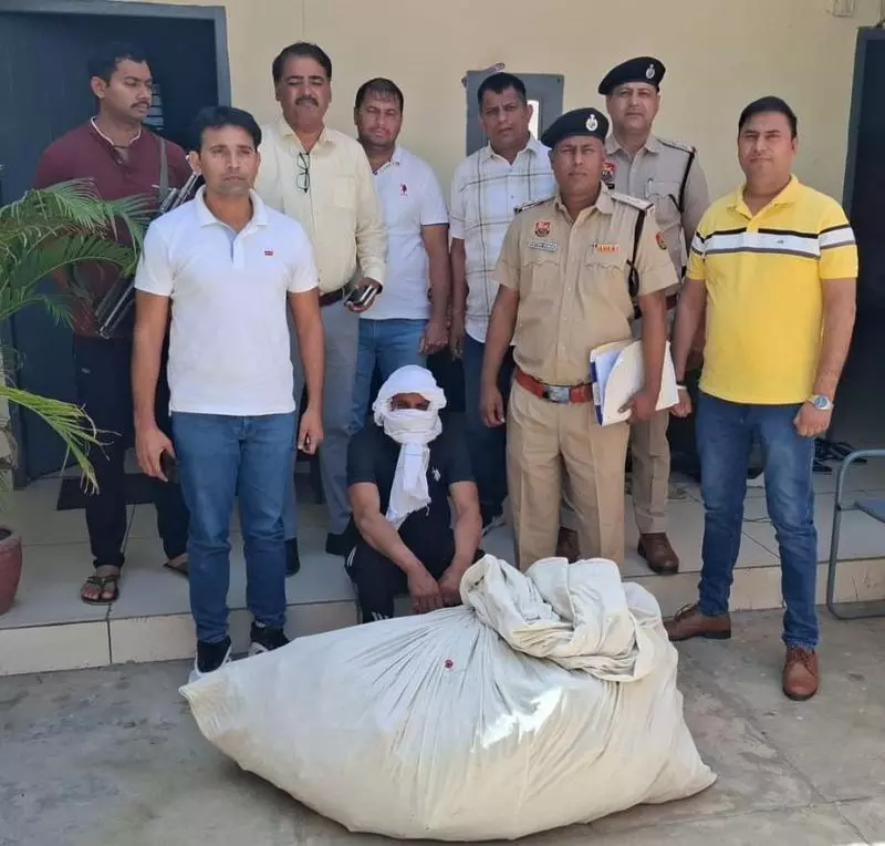 Haryana : सोनीपत विश्वविद्यालय में 400 अफीम के पौधे पाए गए, माली गिरफ्तार Haryana : सोनीपत विश्वविद्यालय में 400 अफीम के पौधे पाए गए, माली गिरफ्तार