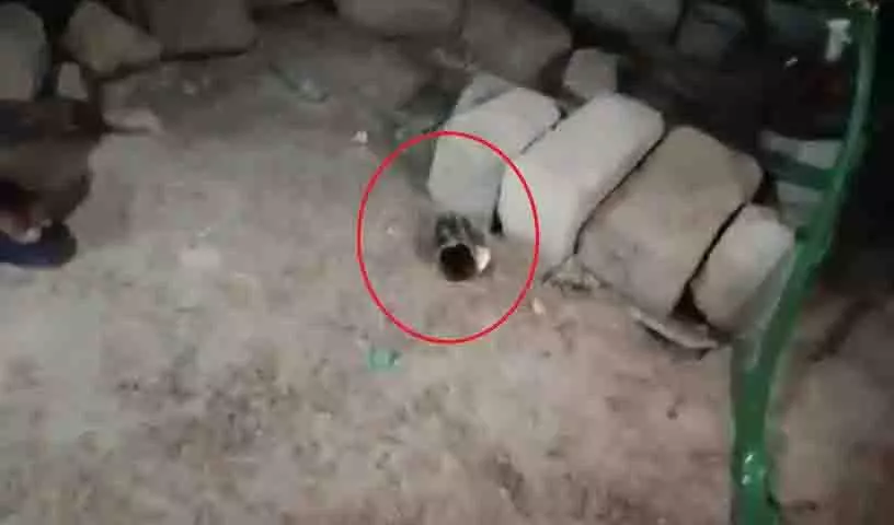 Hyderabad: मस्जिद में शराब की बोतलें मिलने के बाद मियापुर में तनाव Hyderabad: मस्जिद में शराब की बोतलें मिलने के बाद मियापुर में तनाव