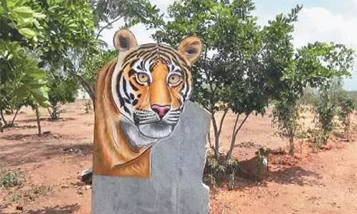 मानव-वन्यजीव संघर्ष को रोकने के लिए 31 करोड़ रुपये दिए जाएंगे: Minister K. Ponmudi