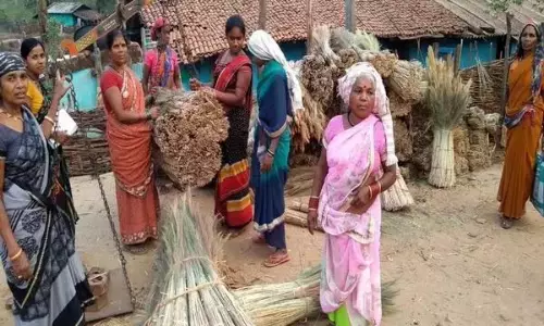 AP: पहाड़ी झाड़ू की नीलामी में आदिवासियों को उचित मूल्य मिला AP: पहाड़ी झाड़ू की नीलामी में आदिवासियों को उचित मूल्य मिला