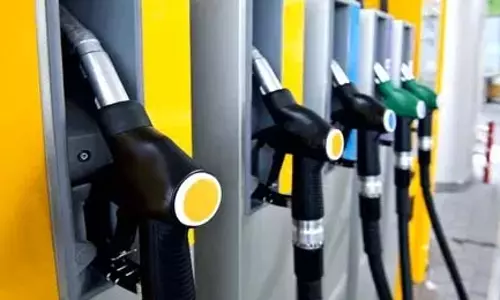 Business : क्या जल्द सस्ता होगा पेट्रोल!