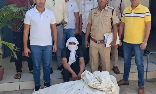 Haryana : सोनीपत विश्वविद्यालय में 400 अफीम के पौधे पाए गए, माली गिरफ्तार Haryana : सोनीपत विश्वविद्यालय में 400 अफीम के पौधे पाए गए, माली गिरफ्तार
