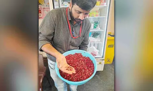 Hyderabad: खाद्य सुरक्षा अधिकारियों ने डीएलएफ पर छापेमारी की