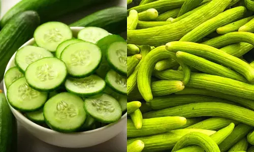 Lifestyle : खारी या ककड़ी : किसमें अधिक पानी है?