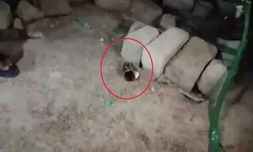Hyderabad: मस्जिद में शराब की बोतलें मिलने के बाद मियापुर में तनाव Hyderabad: मस्जिद में शराब की बोतलें मिलने के बाद मियापुर में तनाव