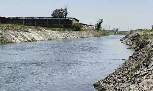 Ludhiana: दशकों बाद बुद्ध दरिया में छोड़ा गया स्वच्छ जल Ludhiana: दशकों बाद बुद्ध दरिया में छोड़ा गया स्वच्छ जल