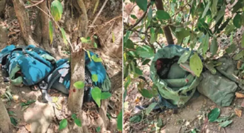 Jammu तलाशी जारी, 2 आतंकवादियों के शव बरामद: सेना Jammu तलाशी जारी, 2 आतंकवादियों के शव बरामद: सेना