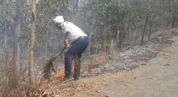 ट्रैफिक जवान ने पर्यावरण के प्रति दिखाया प्रेम, ड्यूटी के दौरान आग बुझाकर बचाया जंगल ट्रैफिक जवान ने पर्यावरण के प्रति दिखाया प्रेम, ड्यूटी के दौरान आग बुझाकर बचाया जंगल