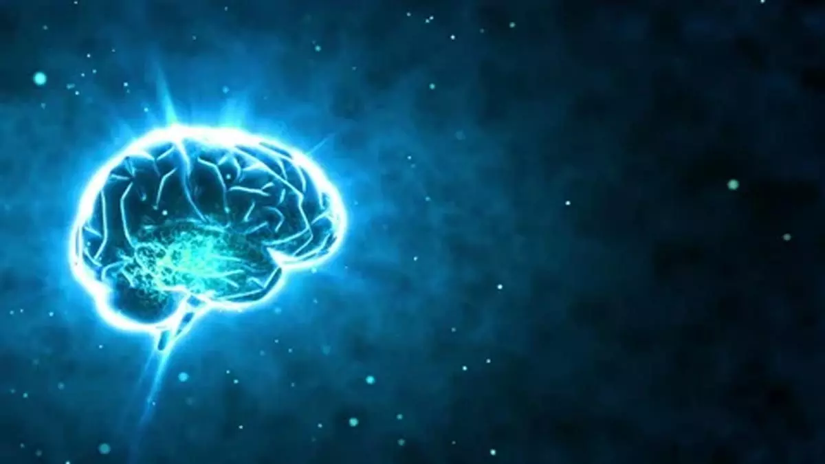 मस्तिष्क की अद्भुत क्षमताएँ: विज्ञान के नजरिए से चौंकाने वाले तथ्य मस्तिष्क की अद्भुत क्षमताएँ: विज्ञान के नजरिए से चौंकाने वाले तथ्य
