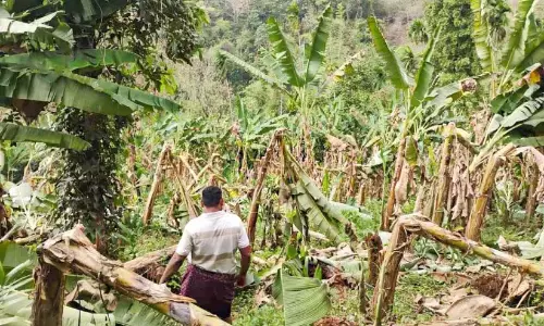 Kerala: तूफ़ान में एक हज़ार से ज़्यादा घर क्षतिग्रस्त