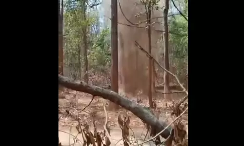 IED नष्ट, 50 नक्सलियों ने किया सरेंडर...खौफ में जी रहे हैं नक्सली IED नष्ट, 50 नक्सलियों ने किया सरेंडर...खौफ में जी रहे हैं नक्सली