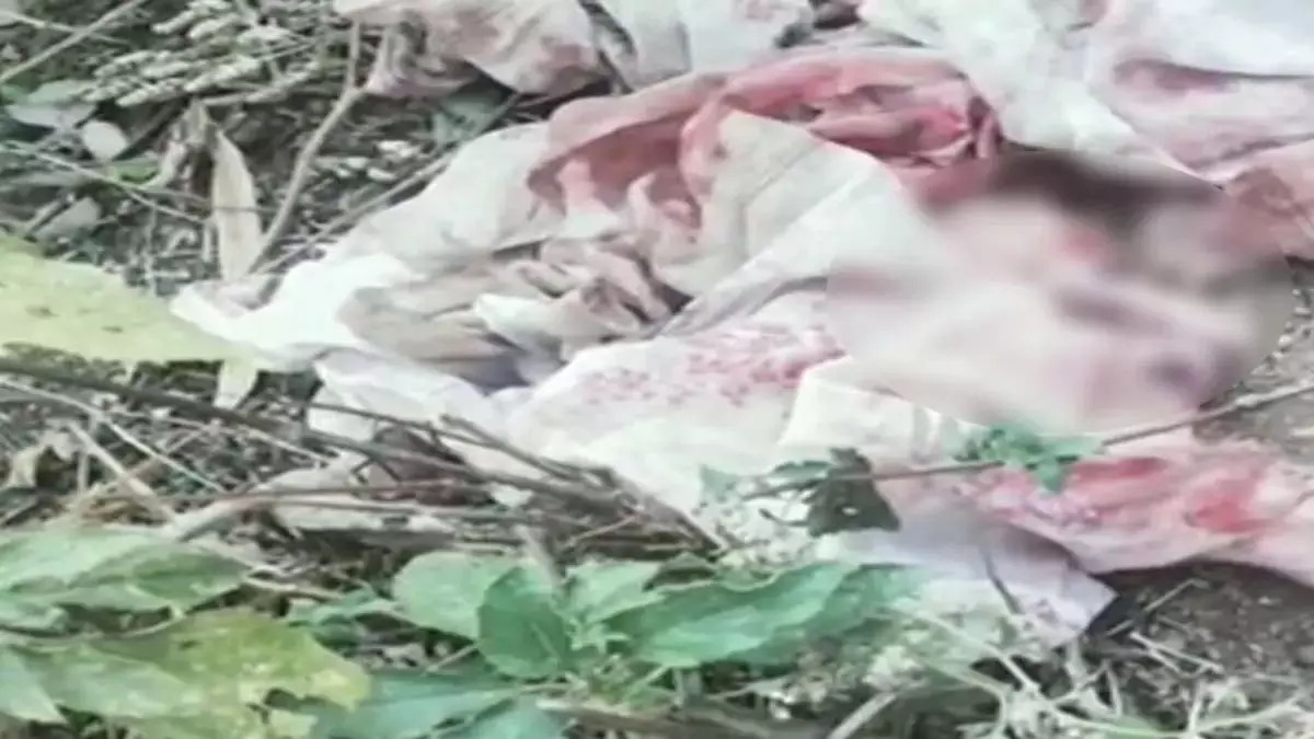 रोने की आवाज आ रही थी झाड़ियों से, घायल हालत में मिली नवजात बच्ची रोने की आवाज आ रही थी झाड़ियों से, घायल हालत में मिली नवजात बच्ची