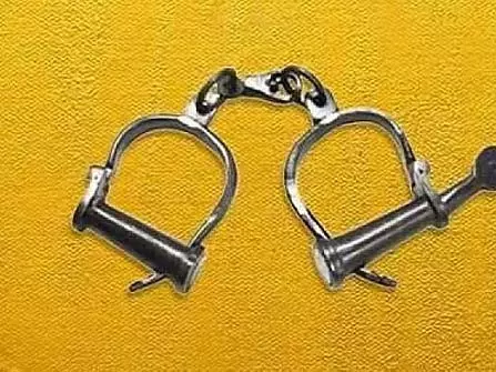 Kerala : प्रियंका गांधी वाड्रा के काफिले को रोकने के आरोप में यूट्यूबर गिरफ्तार Kerala : प्रियंका गांधी वाड्रा के काफिले को रोकने के आरोप में यूट्यूबर गिरफ्तार