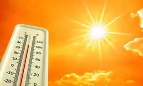 चेन्नई में बढ़ता तापमान, विशेषज्ञ पानी पीने की दे रहे सलाह चेन्नई में बढ़ता तापमान, विशेषज्ञ पानी पीने की दे रहे सलाह