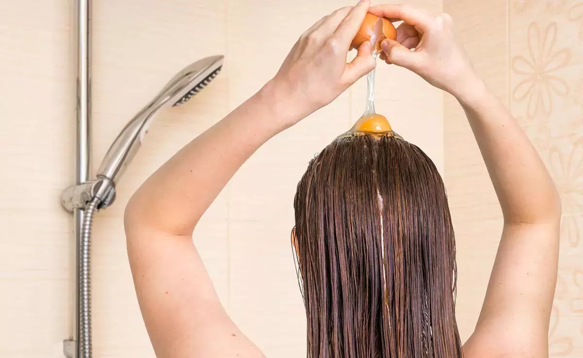 Hair Mask : क्या दही और अंडे का मास्क बालों को बना सकता है बेहतरीन? Hair Mask : क्या दही और अंडे का मास्क बालों को बना सकता है बेहतरीन?