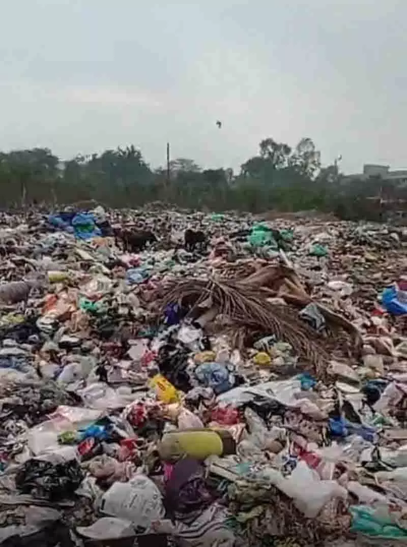 Phagwara: पार्षद ने ‘बन्द लाइटों, कूड़े के ढेरों’ पर चिंता जताई Phagwara: पार्षद ने ‘बन्द लाइटों, कूड़े के ढेरों’ पर चिंता जताई
