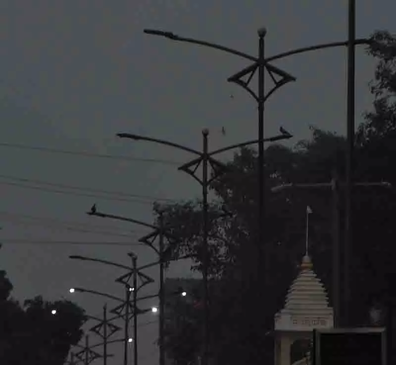 Jalandhar: पार्षद ने खराब स्ट्रीट लाइटों और कूड़े के ढेरों पर चिंता जताई Jalandhar: पार्षद ने खराब स्ट्रीट लाइटों और कूड़े के ढेरों पर चिंता जताई