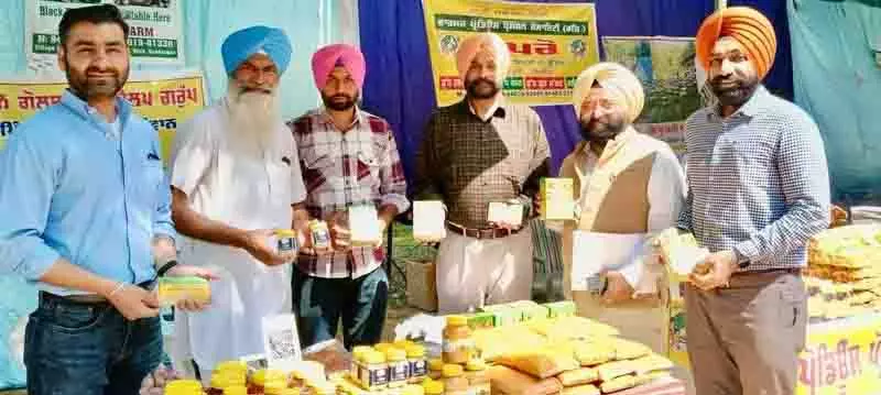 Ludhiana: किसानों को मूल्यवर्धित उत्पादों पर ध्यान केंद्रित करने को कहा गया Ludhiana: किसानों को मूल्यवर्धित उत्पादों पर ध्यान केंद्रित करने को कहा गया
