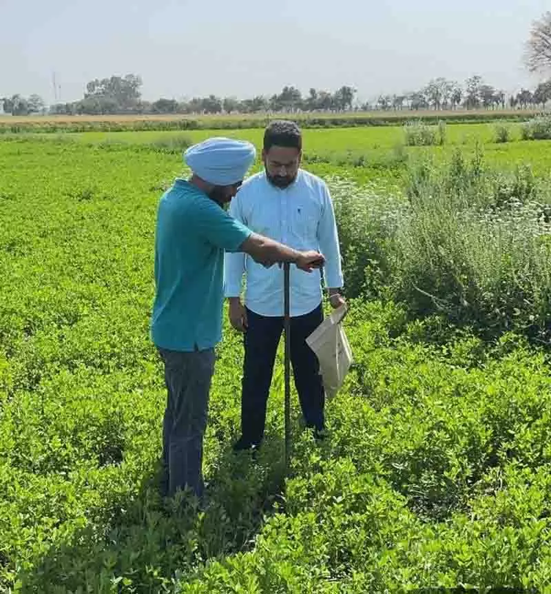 Ludhiana: किसानों को मिट्टी, जल परीक्षण का प्रशिक्षण दिया गया Ludhiana: किसानों को मिट्टी, जल परीक्षण का प्रशिक्षण दिया गया