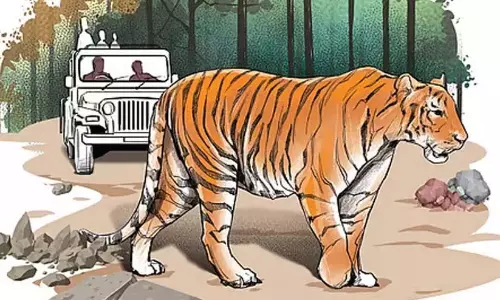 Kerala: जंगल में जंगली जानवरों को क्रूरतापूर्वक घायल किया जा रहा Kerala: जंगल में जंगली जानवरों को क्रूरतापूर्वक घायल किया जा रहा