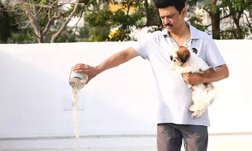 Tamil CM ने लोगों से गर्मी के मौसम में पक्षियों को पानी और भोजन उपलब्ध कराने का आग्रह किया
