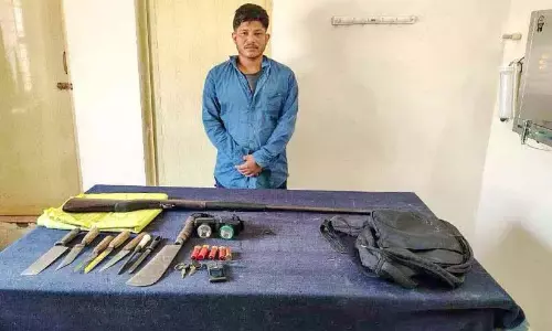 जंगल में जानवरों का शिकार; गिरोह का सदस्य गिरफ्तार