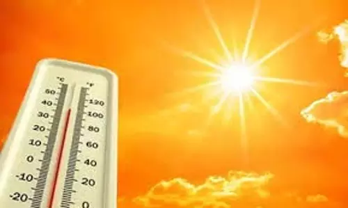 चेन्नई में बढ़ता तापमान, विशेषज्ञ पानी पीने की दे रहे सलाह चेन्नई में बढ़ता तापमान, विशेषज्ञ पानी पीने की दे रहे सलाह