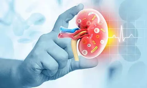 किडनी को नुकसान पहुंचा सकता है ज्यादा Protein, पहचानें लक्षण