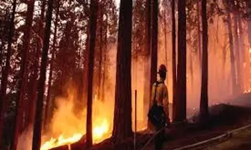दक्षिण कोरिया के दक्षिण-पूर्वी इलाकों में फिर भड़की जंगल की आग दक्षिण कोरिया के दक्षिण-पूर्वी इलाकों में फिर भड़की जंगल की आग