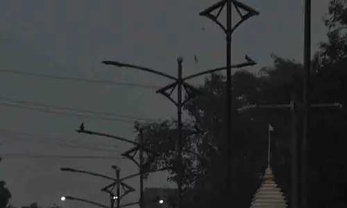 Jalandhar: पार्षद ने खराब स्ट्रीट लाइटों और कूड़े के ढेरों पर चिंता जताई